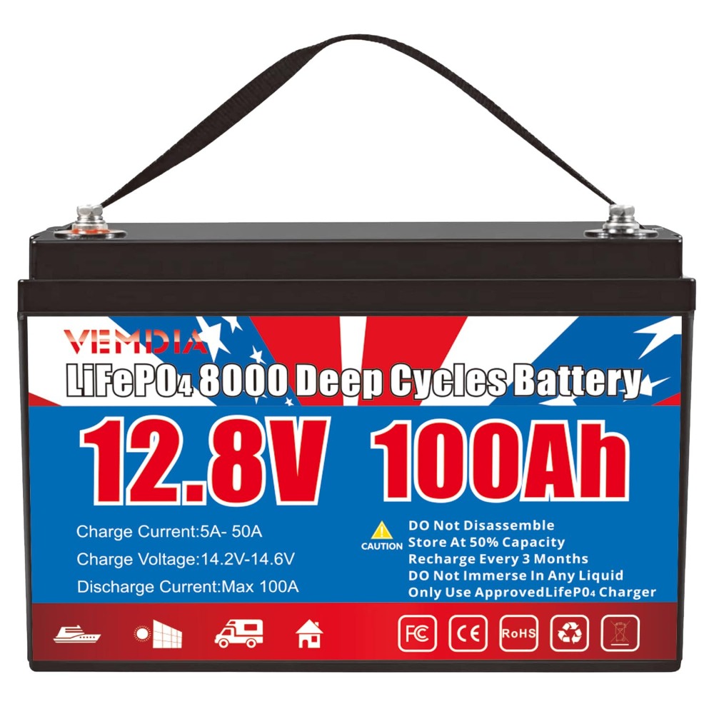 12.8V 100Ah LiFePO4 배터리 내장 BMS - Motorcycle Gear Cycle 리뷰 및 가격