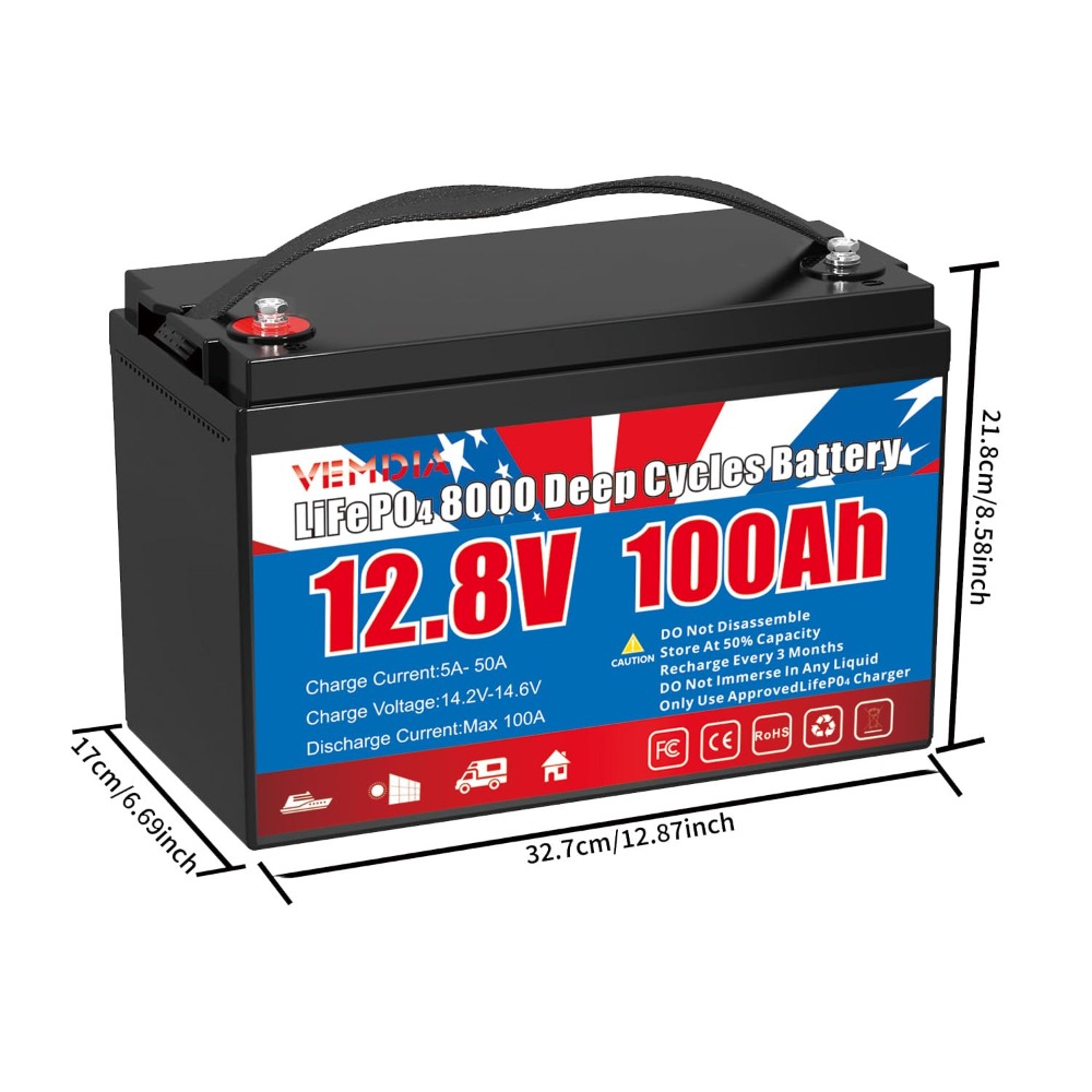 12.8V 100Ah LiFePO4 배터리 내장 BMS - Motorcycle Gear Cycle 리뷰 및 가격