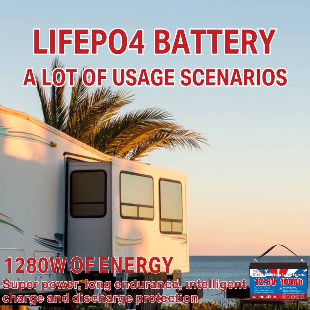 12.8V 100Ah LiFePO4 배터리 내장 BMS - Motorcycle Gear Cycle 리뷰 및 가격